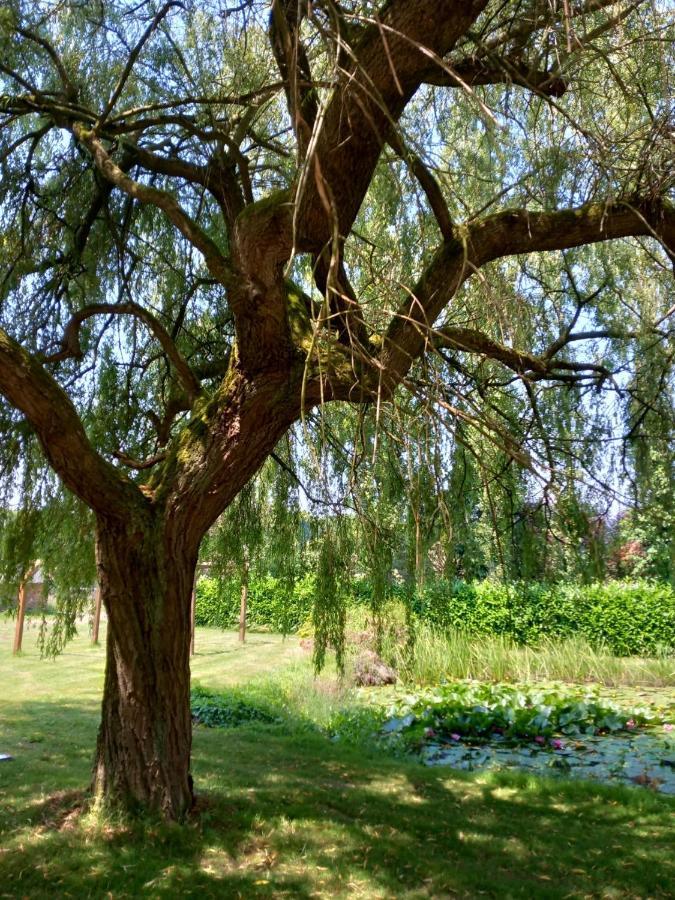 A La Memoire De Merlin & Spa Saint-Malon-sur-Mel 外观 照片