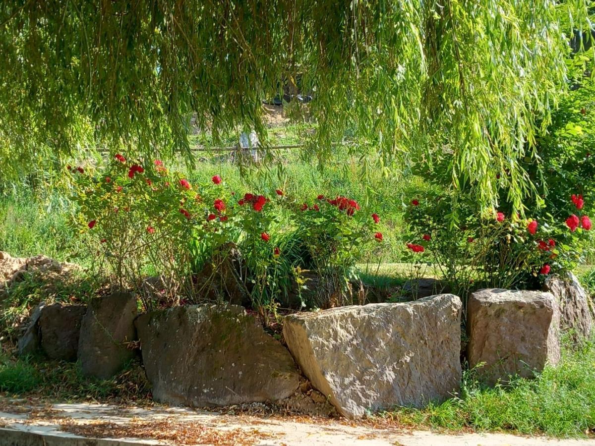 A La Memoire De Merlin & Spa Saint-Malon-sur-Mel 外观 照片